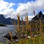 אכסניה The Manor House In Hamnoy *