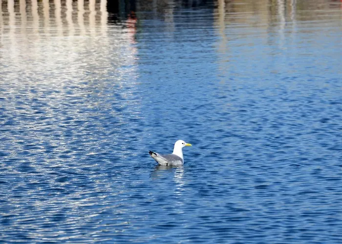 The Manor House In Hamnoy *